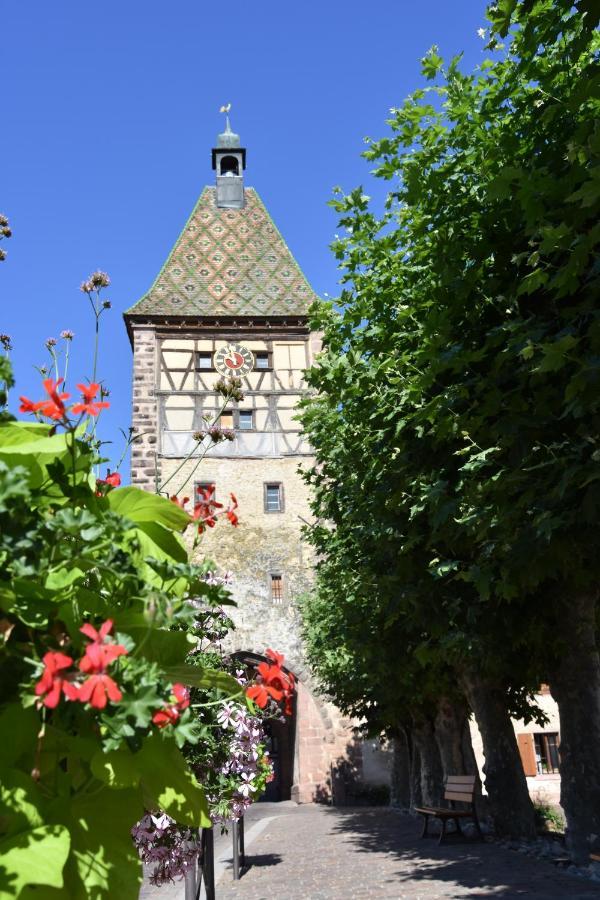 Appartement S'Harzala Vert à Bergheim Extérieur photo