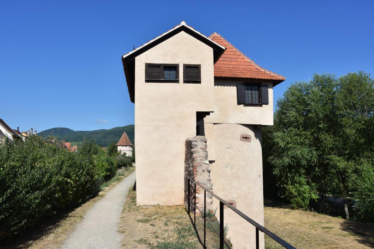 Appartement S'Harzala Vert à Bergheim Extérieur photo